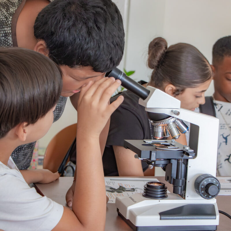 enfants observent au microscope pour l'animation Microbes au quotidien