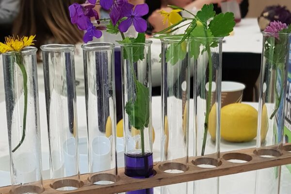 Chimie des couleurs - 1