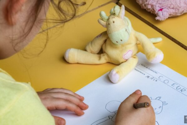 Animation-peluchologie-classification-especes (3)