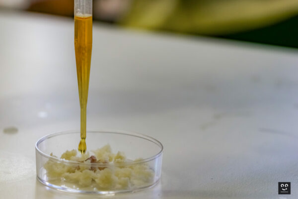 Chimie amusante - 1