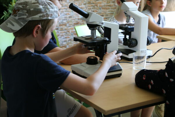 invisible-biodiversite-animation-scientifique-ecole-adn-recreasciences (8)