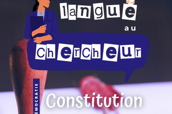 Expo-Democratie-DTLAC-Constitution