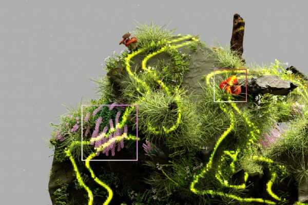 biodiversite 2