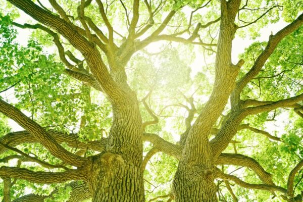 enviornnement biodiversite expo